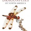 Dragonflies of North America