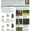 Woodland indicators: WCA4