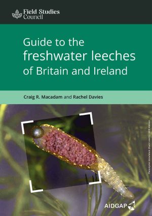 Guide to the freshwater leeches of Britain and Ireland