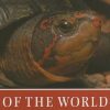 Turtles of the World