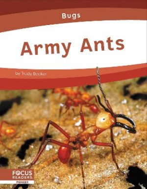 Bugs: Army Ants