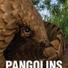 Pangolins: Scales of Injustice