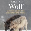 Thinking Like a Wolf: Lessons From the Yellowstone Packs