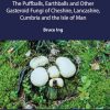 Puffballs, Earthballs and Other Gasteroid Fungi of Cheshire, Lancashire, Cumbria and the Isle of Man book cover