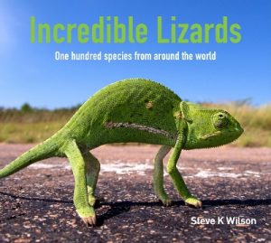 Incredible Lizards: One hundred species from around the world