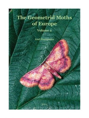 The Geometrid Moths of Europe 2: Sterrhinae
