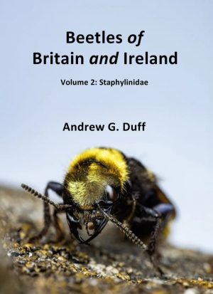 Beetles of Britain and Ireland, Volume 2 Staphylinidae