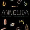 Annelida