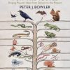 Evolution for the People: Shaping Popular Ideas from Darwin to the Present