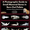 A Photographic Guide to Small Mammal Bones in Barn Owl Pellets