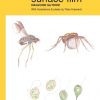 Animals of the surface film Naturalists' Handbook 12, paperback