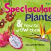 RHS Spectacular Plants and how to grow them