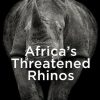 Africa's Threatened Rhinos: A History of Exploitation and Conservation