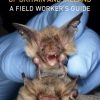 Identifying Bats of Britain and Ireland: A Field Worker’s Guide