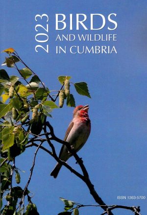 Birds and Wildlife in Cumbria 2023