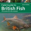 Field Guide to British Fish: Freshwater and Marine