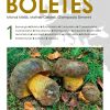 European Boletes, Volume 1