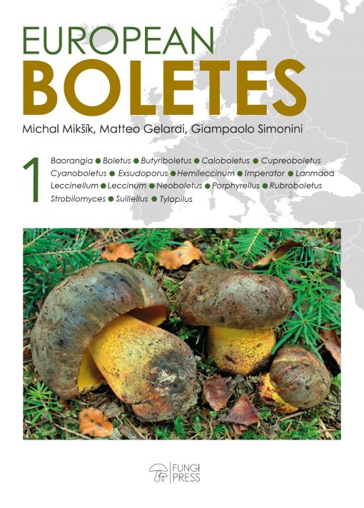 European Boletes, Volume 1