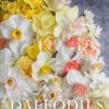 Daffodils: Beautiful Varieties for Home and Garden