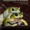 An Introduction to the Amphibians of Ecuador: Diversity, Conservation, and Cultural History