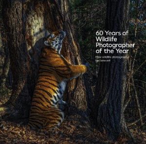 60 Years of Wildlife Photographer of the Year: How Wildlife Photography Became Art
