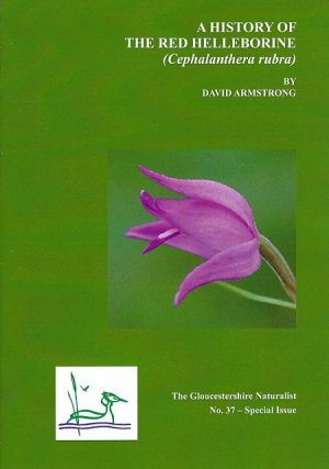 A History of the Red Helleborine