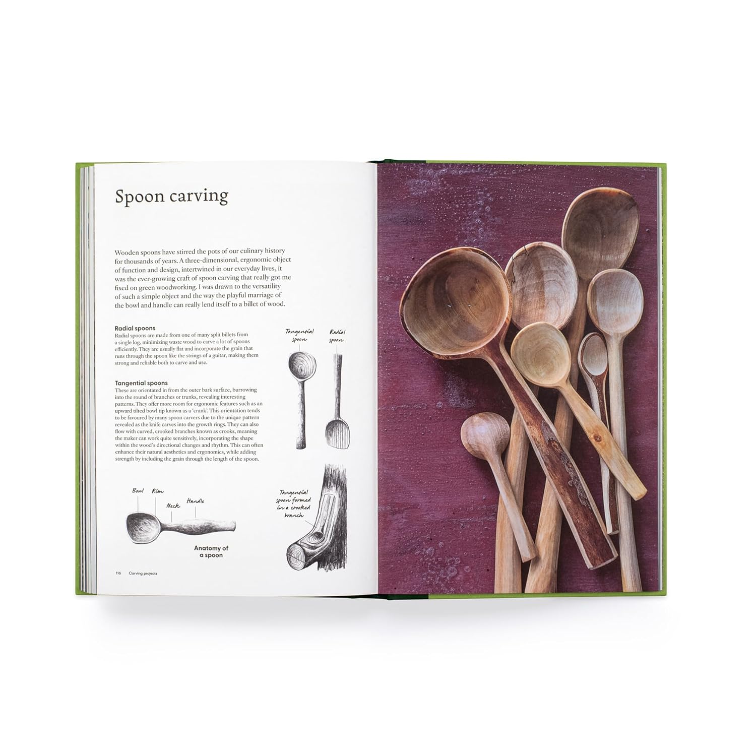 The Green Wood Carver: A Practical Guide to Carving, Whittling, and Life - Image 6