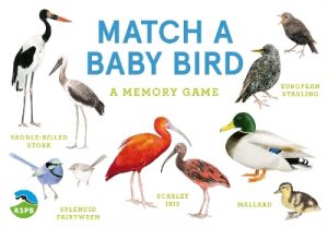Match a Baby Bird: A Memory Game