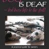 My Dog is Deaf: – but Lives Life to the Full!