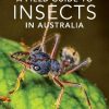 A Field Guide to Insects of Australia: Fifth Edition