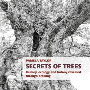 Secrets of Trees: History, ecology and botany revealed through drawing