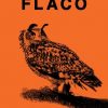FLACO: The Owl Who Escaped Captivity and Won the Hearts of the World