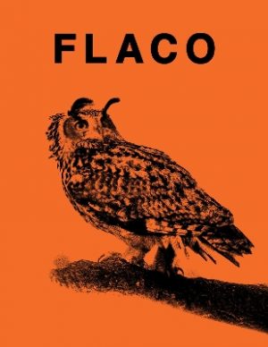 FLACO: The Owl Who Escaped Captivity and Won the Hearts of the World