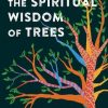 Discovering the Spiritual Wisdom of Trees