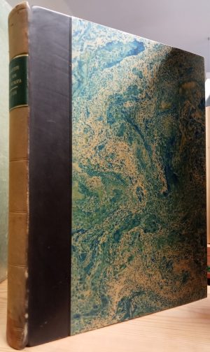 Illustrierte Flora von Mittel-Europa; Band ii