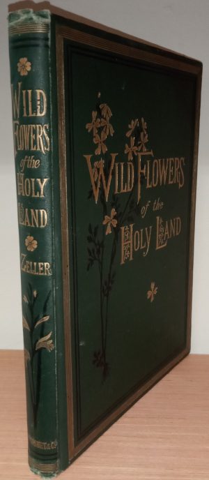 Wild Flowers of the Holy Land