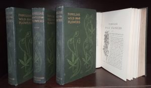 Familiar Wild Flowers, 1st to 8th series, set of 4