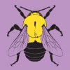Beepedia: A Brief Compendium of Bee Curiosities