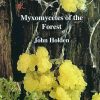 Front cover of Myxomycetes of the Forest: An exploration of the hidden world of the Myxomycetes, or Slime Moulds, by John Holden