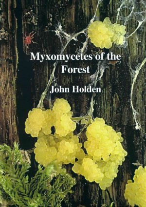 Front cover of Myxomycetes of the Forest: An exploration of the hidden world of the Myxomycetes, or Slime Moulds, by John Holden