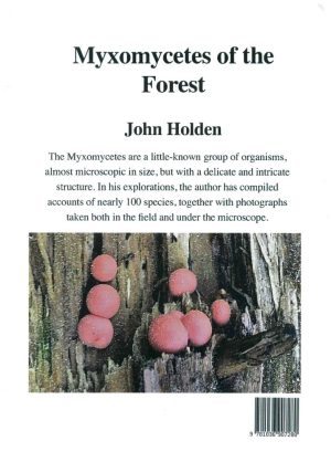 Back cover of Myxomycetes of the Forest: An exploration of the hidden world of the Myxomycetes, or Slime Moulds, by John Holden