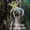 Saving Orchhids