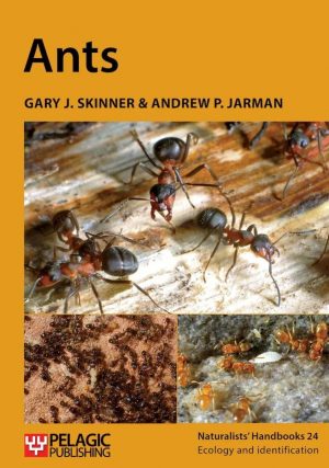 Ants - Naturalists’ Handbook 24
