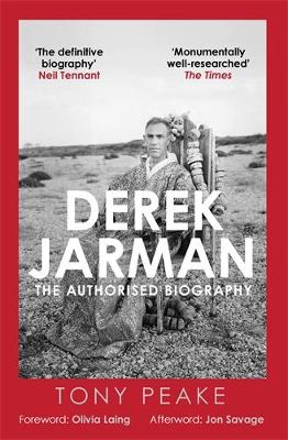 Derek Jarman: The Authorised Biography