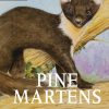 Pine Martens