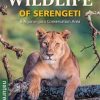Wildlife of Serengeti & Ngorongoro Conservation Area