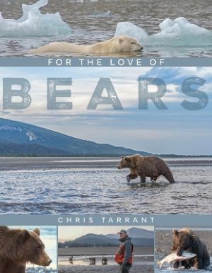 For The Love Of Bears