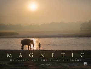 Magnetic: Humanity and the Asian elephant