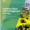 Common Sense Risk Management of Trees - second edition