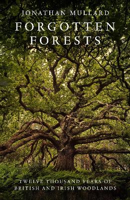 Forgotten Forests: Twelve Thousand Years of British and Irish Woodlands